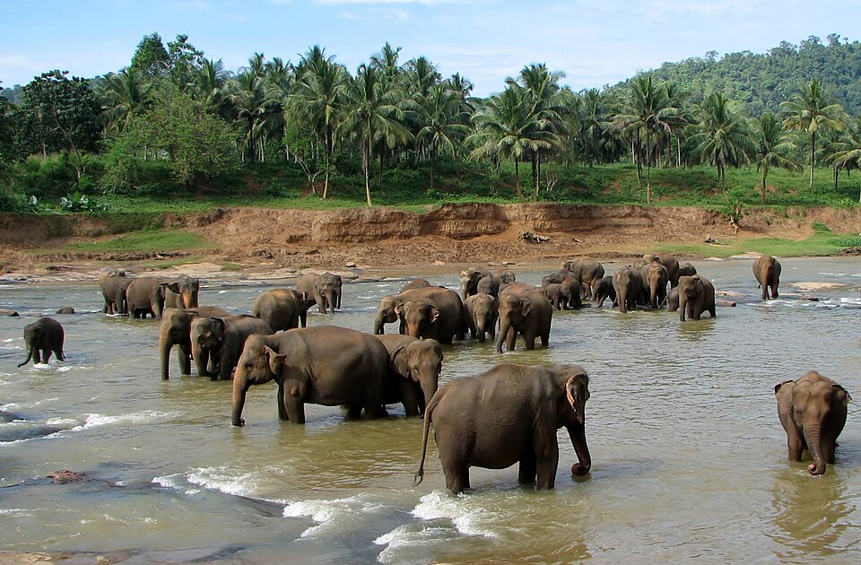 Sri Lanka, photo 4 of 5